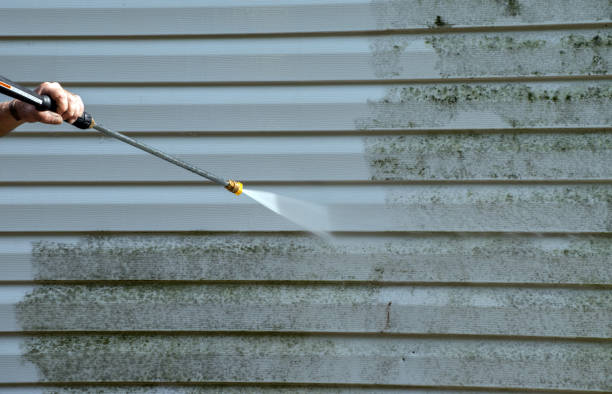 Professional Pressure Washing in Toulon, IL